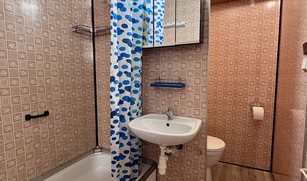 Prodej bytu 2+1 44 m², Český Těšín – náhled fotky 14