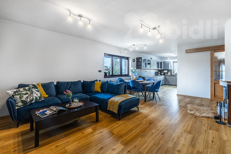 Prodej domu 390 m² s pozemkem 1 199 m² – fotografie 4