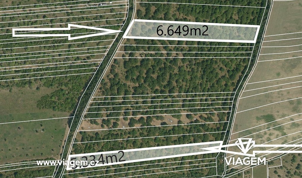 Prodej zahrady 4 493 m², Židlochovice – náhled fotky 2