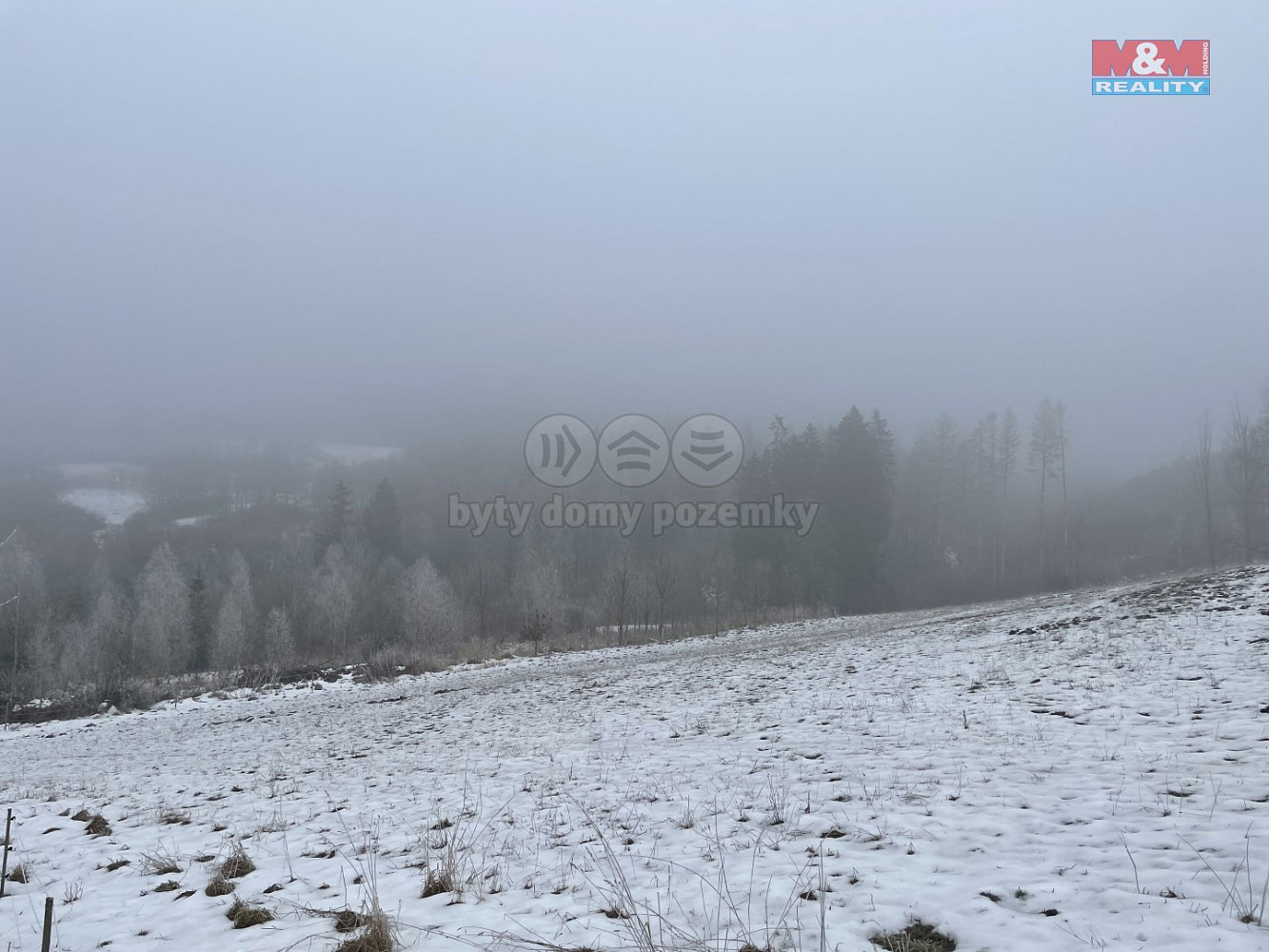 Prodej lesa 8 638 m²