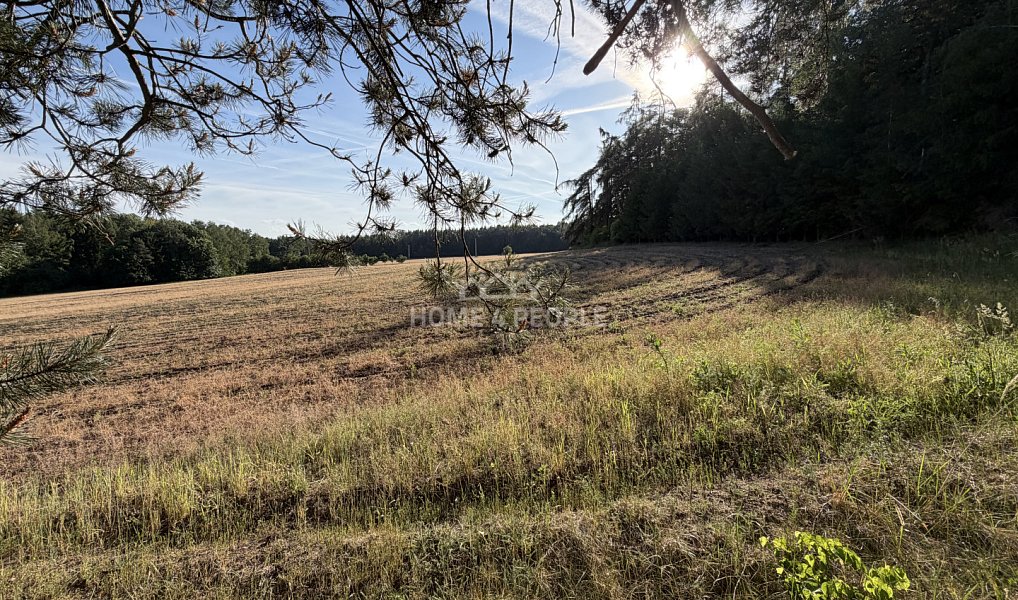 Prodej lesa 4 000 m², Háje – náhled fotky 7