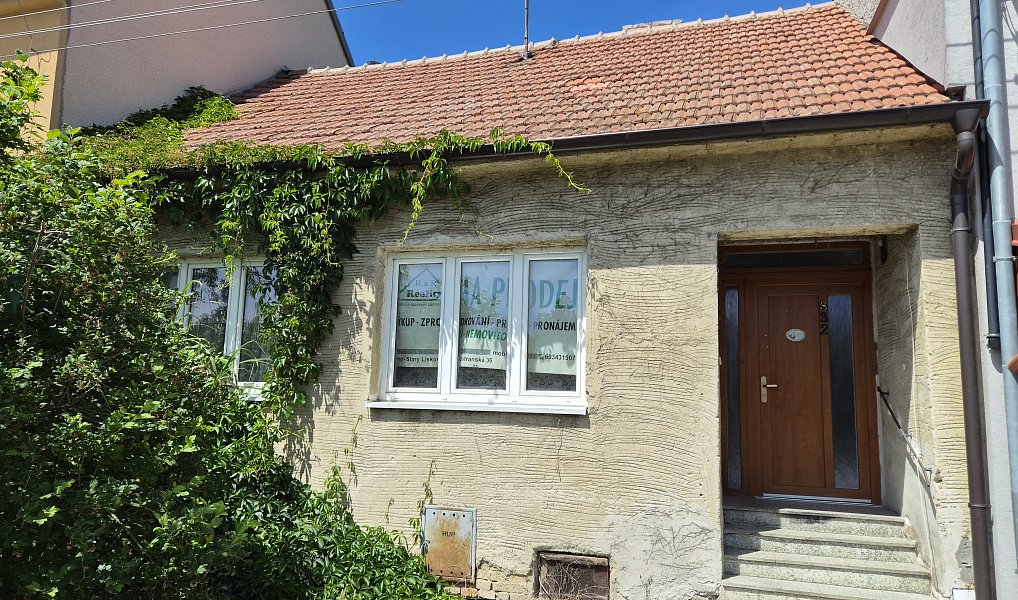 Prodej domu 350 m² s pozemkem 784 m², Slavkov u Brna – náhled fotky 2