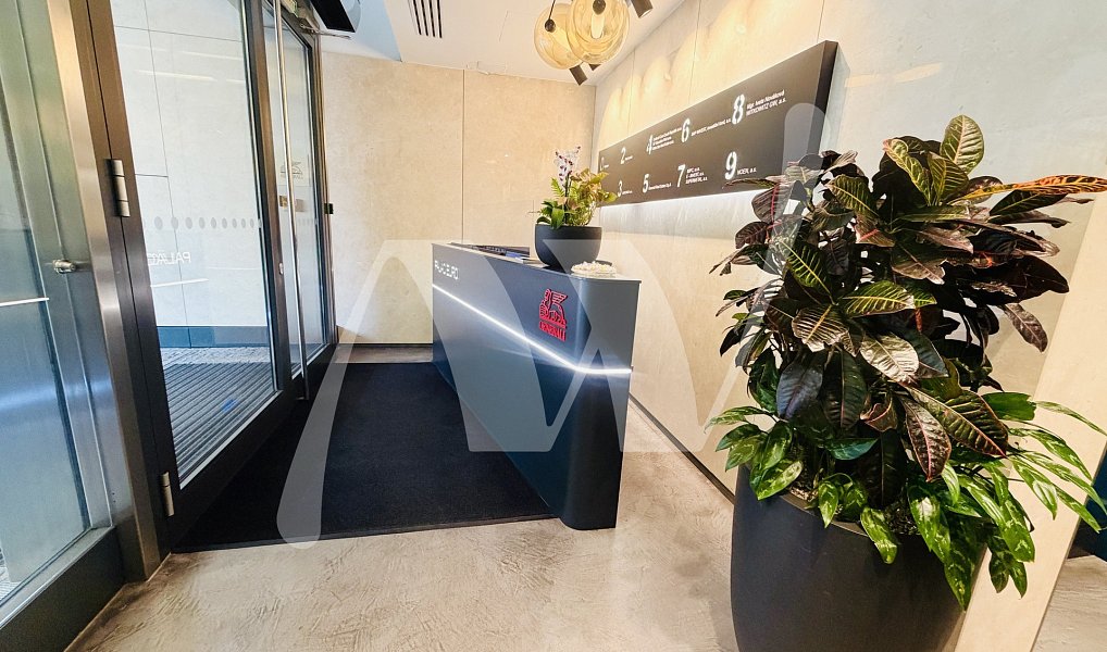 Pronájem kanceláře 353 m², Praha – náhled fotky 2