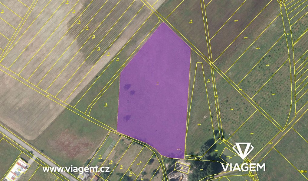 Prodej pole 8 080 m², Horka I – náhled fotky 4