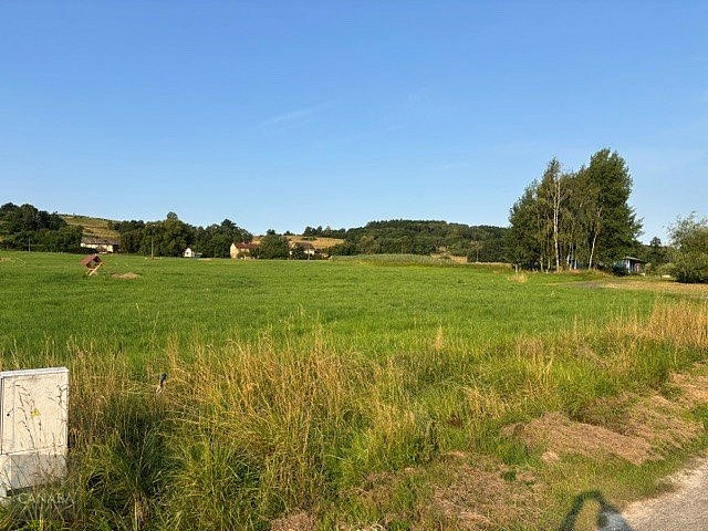 Prodej domu 181 m² s pozemkem 1 117 m² – fotografie 3