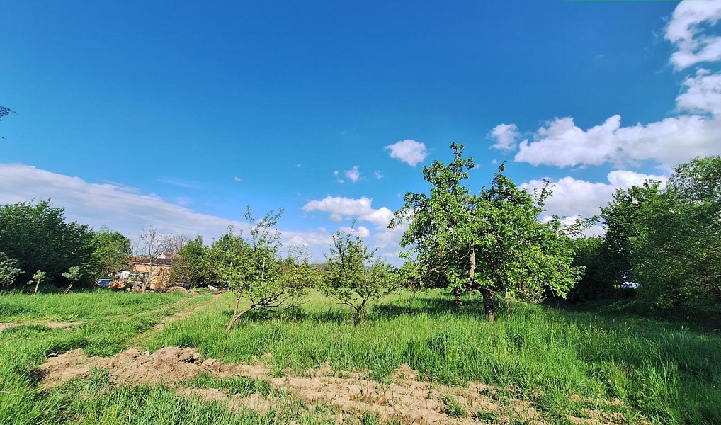 Prodej stavebního pozemku 2 975 m², Dražovice – náhled fotky 5