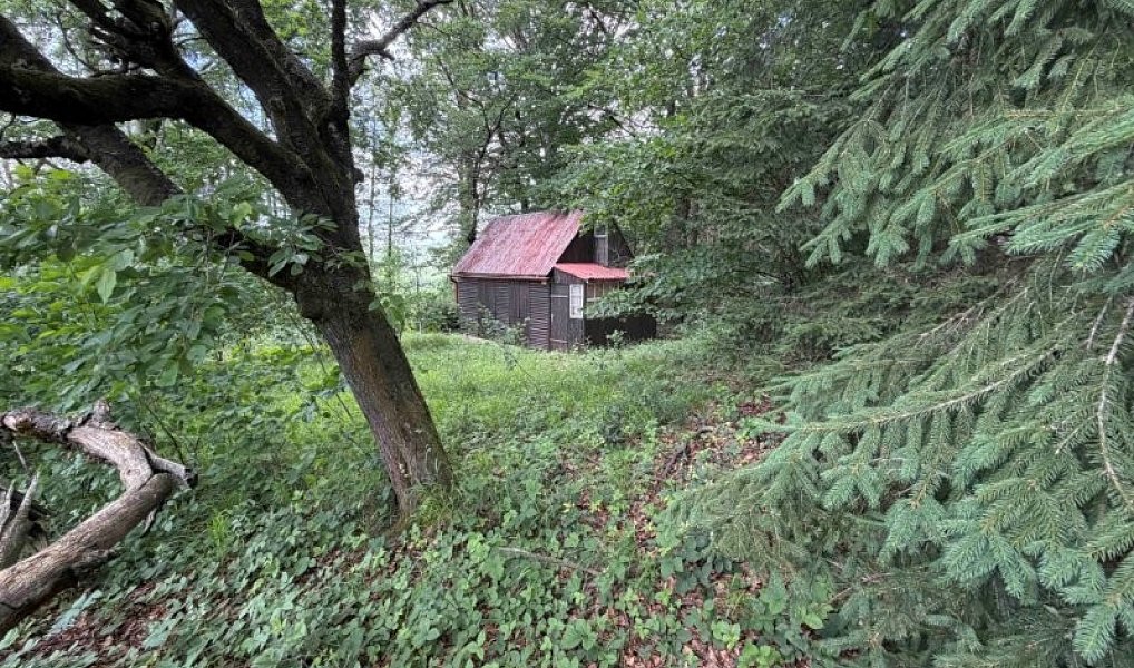 Prodej chaty/chalupy 50 m², Hybrálec – náhled fotky 13