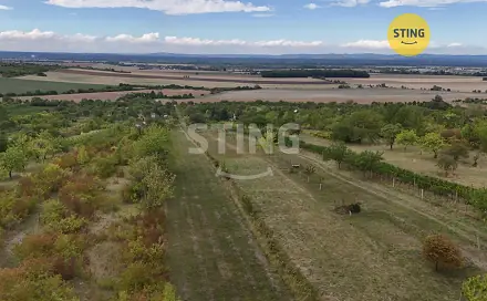 Prodej chaty/chalupy 30 m² s pozemkem 4 483 m², Strážnice, okres Hodonín