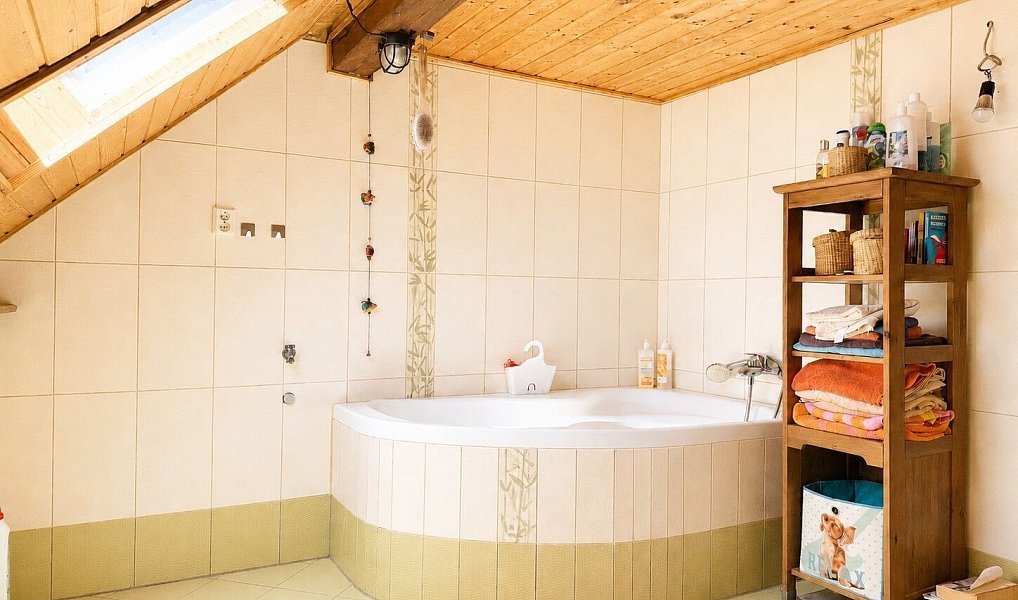 Prodej domu 725 m² s pozemkem 7 880 m², Bor – náhled fotky 20
