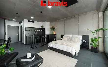 Pronájem bytu 1+kk 35 m², Královopolská, Brno - Žabovřesky