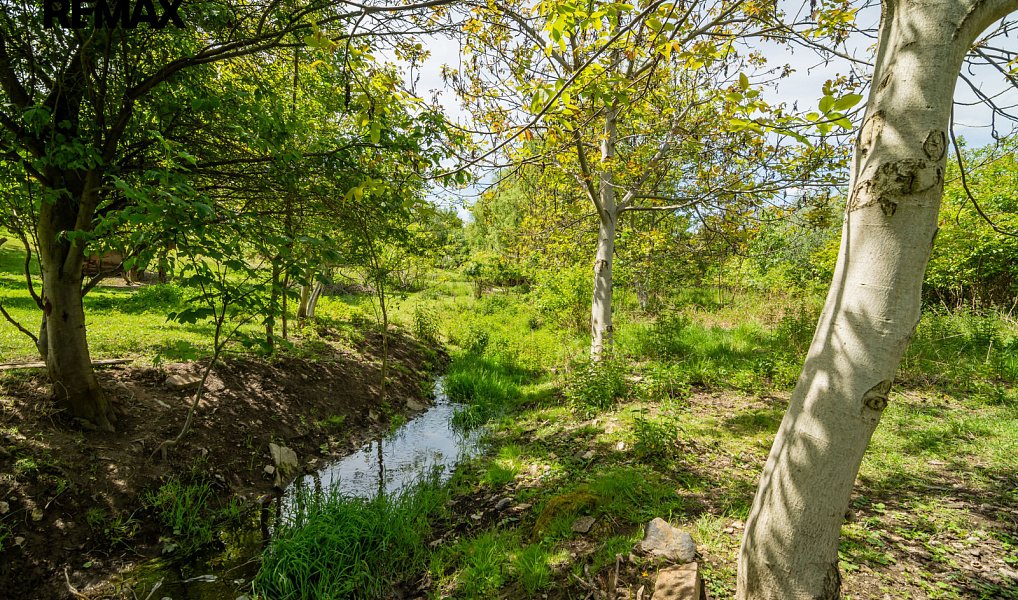 Prodej stavebního pozemku 9 806 m², Buštěhrad – náhled fotky 6