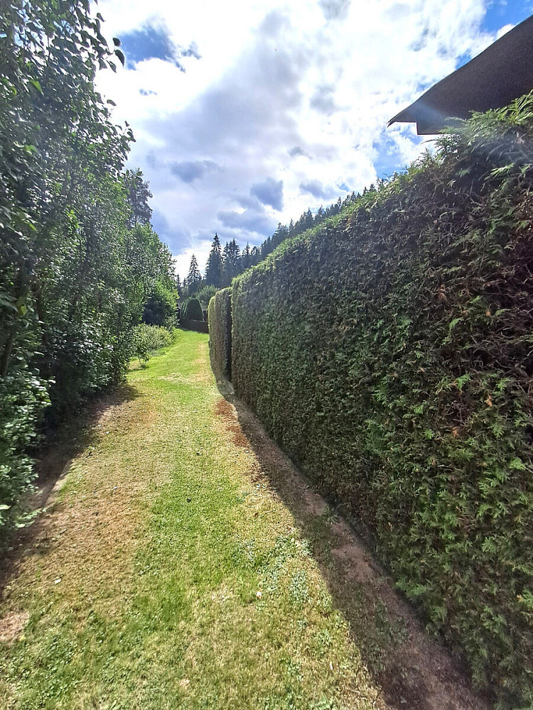 Fotka 15 z 30