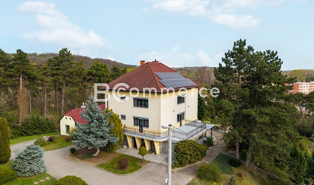 Prodej domu 270 m² s pozemkem 4 446 m², Dolní Kounice – náhled fotky 2