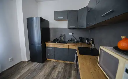 Prodej bytu 1+1 46 m², Zlínská, Liberec - Liberec III-Jeřáb