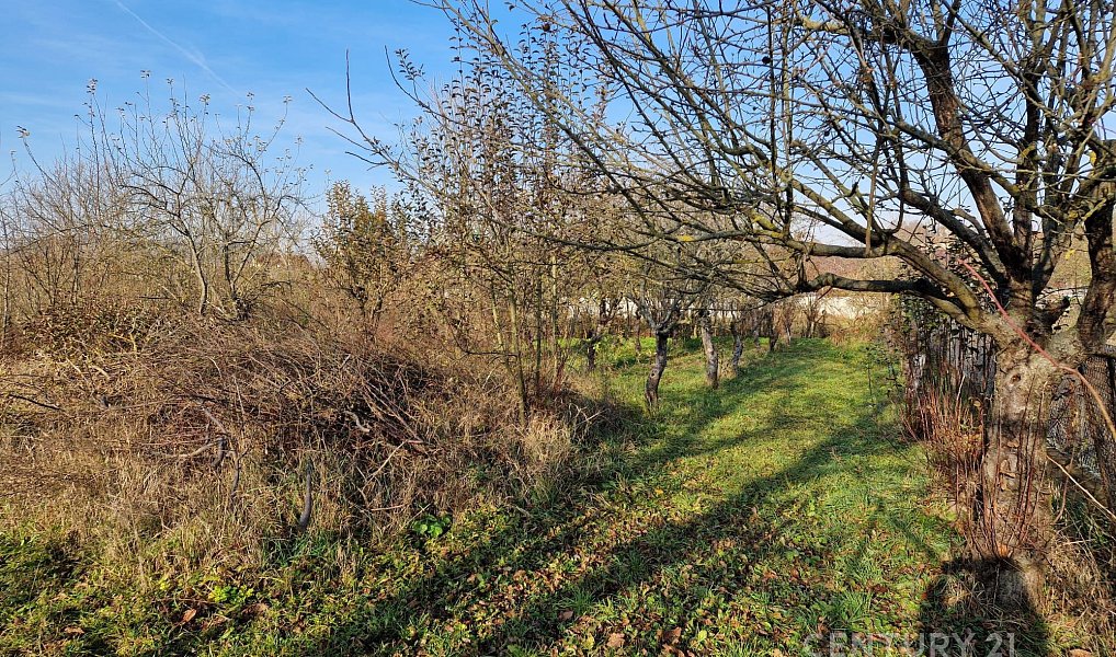 Prodej stavebního pozemku 508 m², Čebín – náhled fotky 3