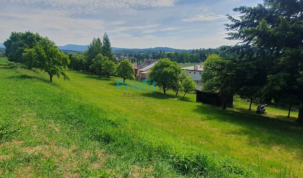 Prodej zahrady 2 946 m², Bludov – náhled fotky 6