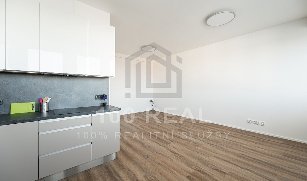 Pronájem bytu 1+kk 40 m², Hradec Králové – náhled fotky 2
