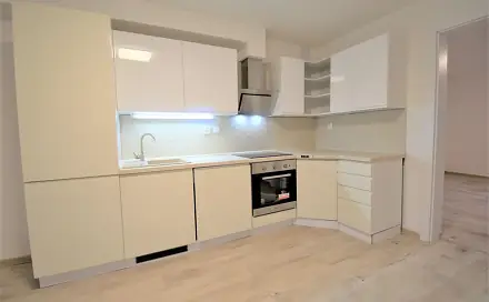 Pronájem bytu 3+kk 78 m², Těšínská, Ústí nad Labem - Střekov