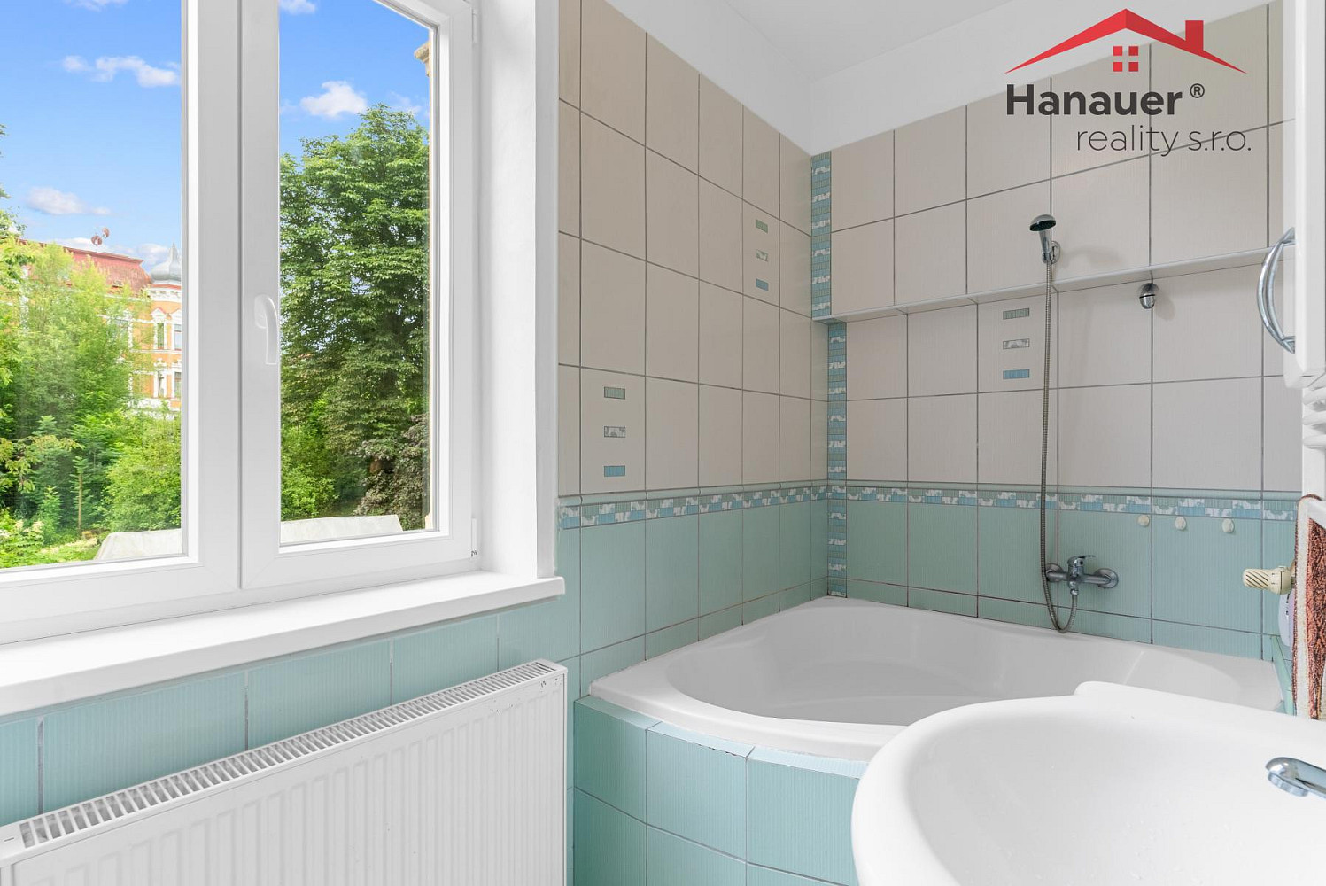 Prodej domu 320 m² s pozemkem 3 345 m² – pohled 6