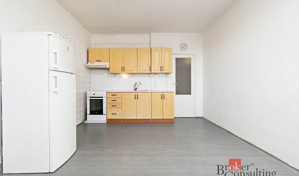 Prodej bytu 1+1 47 m², Plzeň – náhled fotky 2