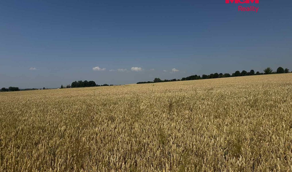 Prodej pole 244 621 m², Město Albrechtice – náhled fotky 2