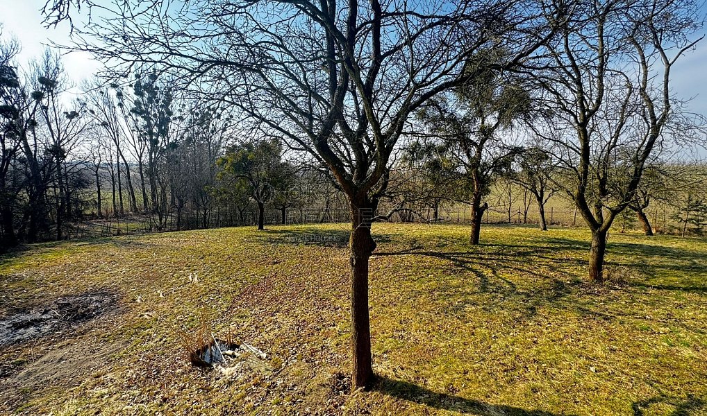 Prodej stavebního pozemku 3 362 m², Vítonice – náhled fotky 2