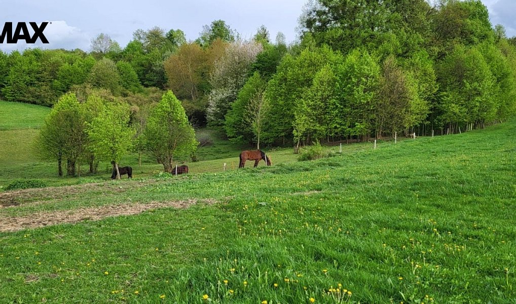 Prodej zahrady 11 072 m², Rožnov pod Radhoštěm – náhled fotky 2