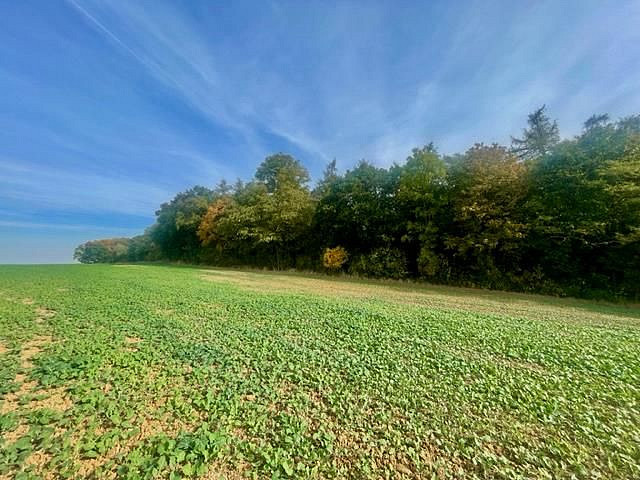 Prodej pole 24 066 m²
