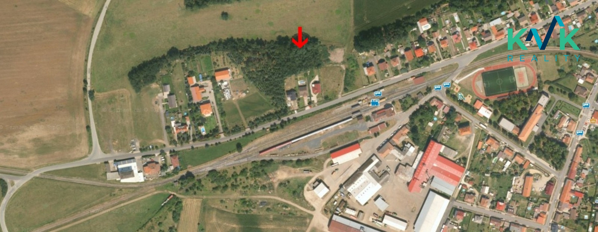 Prodej lesa 1 115 m² – fotografie 5