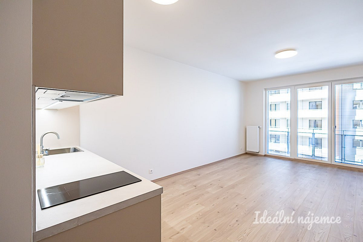 Pronájem bytu 1+kk 35 m² – fotografie 4