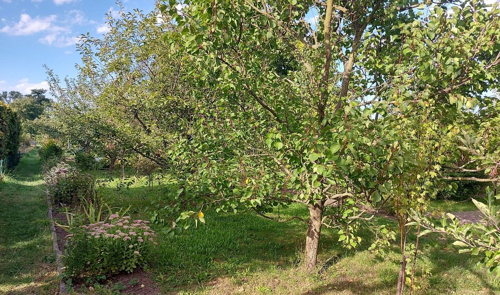 Prodej zahrady 452 m², Louny – náhled fotky 8