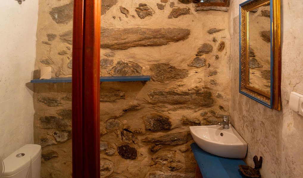 Prodej domu 419 m² s pozemkem 1 761 m², Přední Výtoň – náhled fotky 10