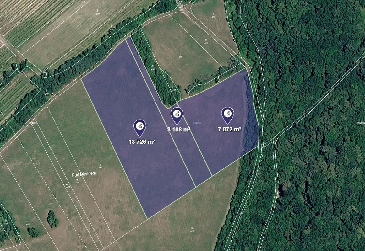 Prodej louky 24 706 m²