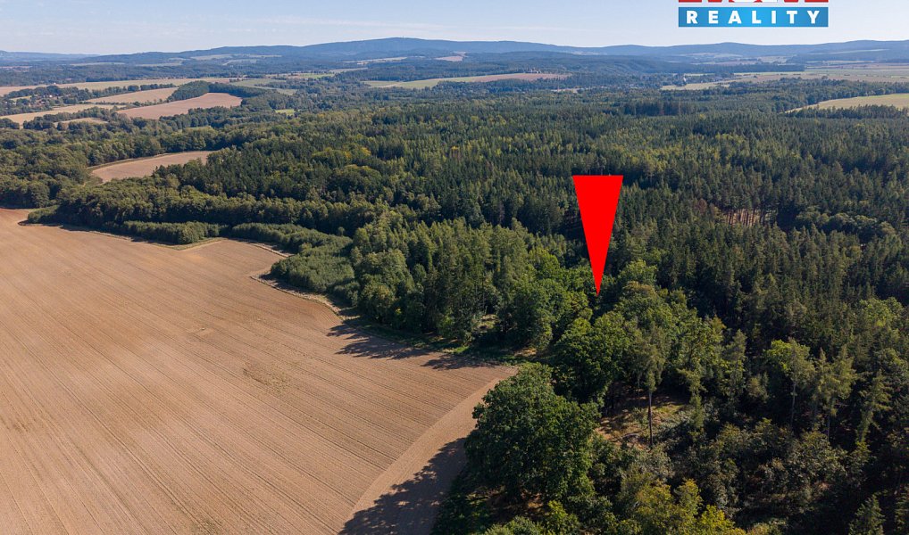 Prodej lesa 1 757 m², Cheb – náhled fotky 8