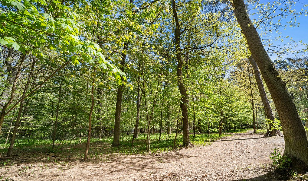 Prodej stavebního pozemku 2 427 m², Hradištko – náhled fotky 9