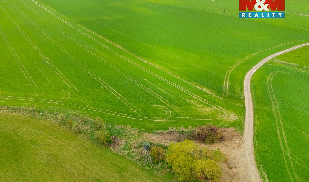 Prodej louky 730 m², Olešnice – náhled fotky 6