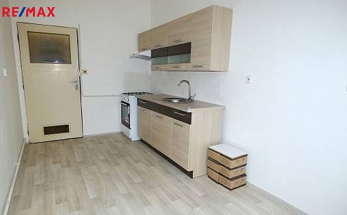 Pronájem bytu 1+1 53 m², Pražská tř., České Budějovice - České Budějovice 3