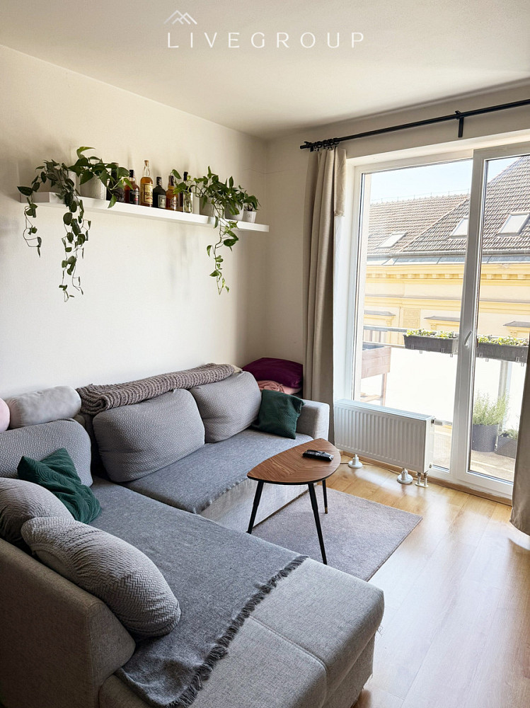 Pronájem bytu 2+kk 56 m² – další