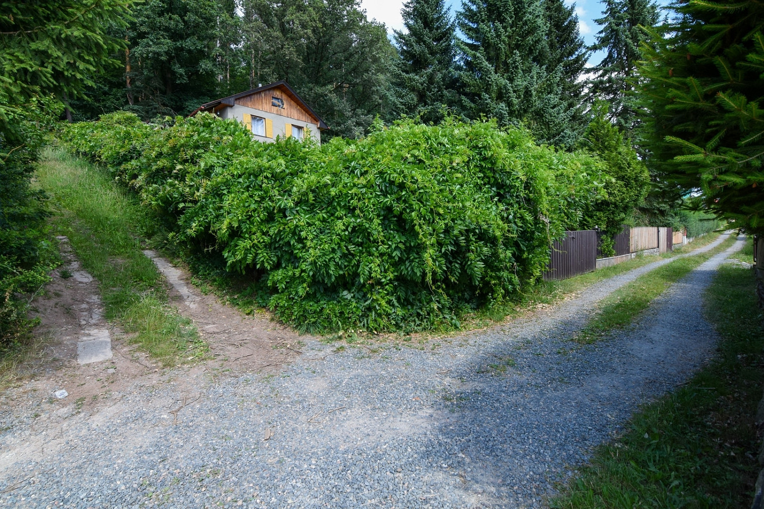 Fotka 12 z 12