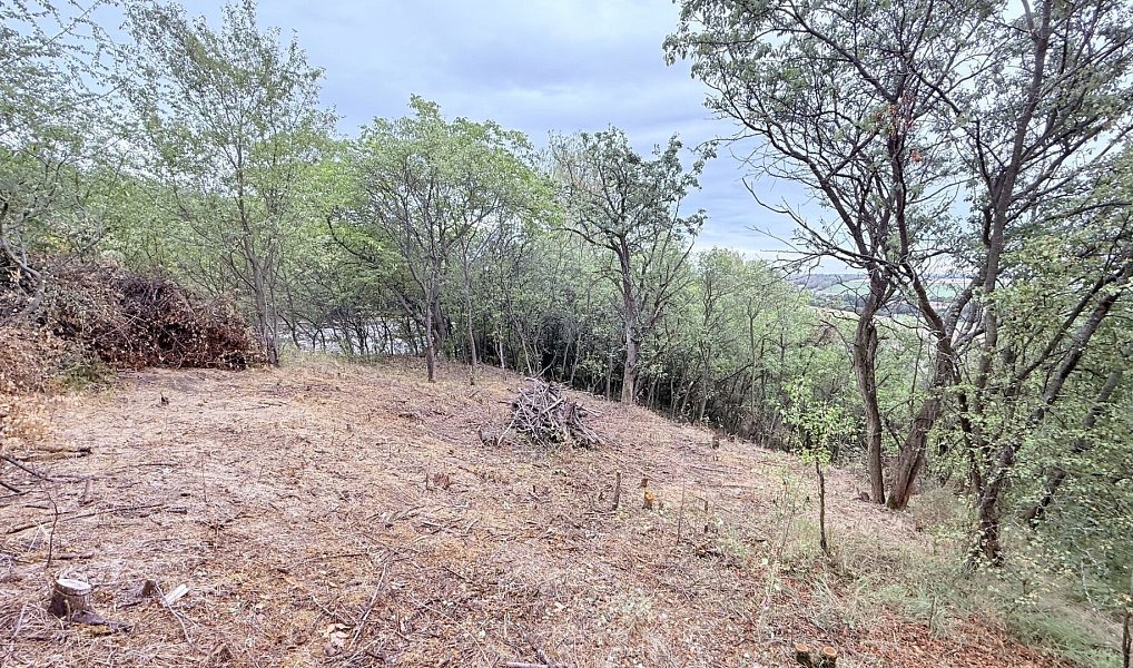 Prodej zahrady 464 m², Brandýsek – náhled fotky 5