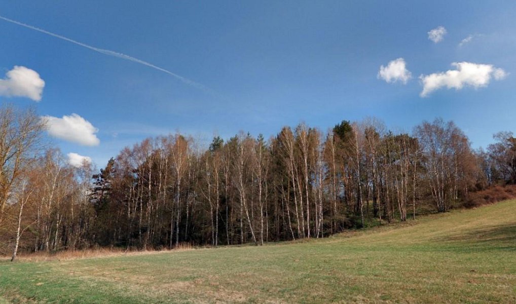 Prodej louky 22 911 m², Hošťka – náhled fotky 2