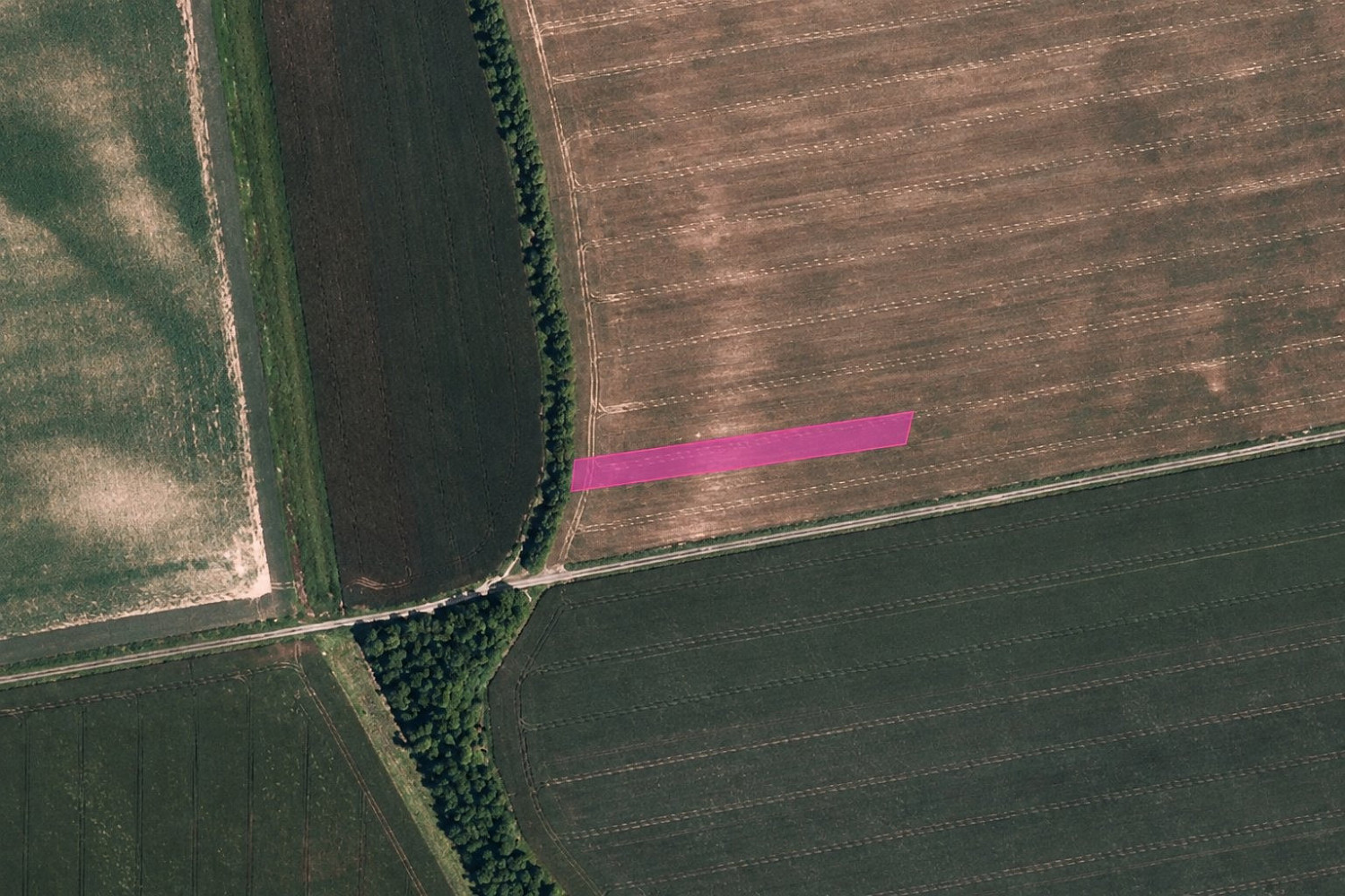 Prodej pole 28 095 m² – fotografie 3