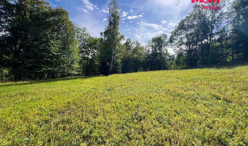 Prodej stavebního pozemku 5 047 m², Záblatí – náhled fotky 8