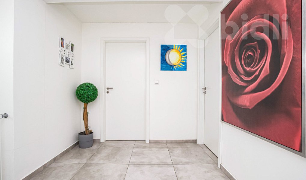 Prodej domu 299 m² s pozemkem 660 m², Ostopovice – náhled fotky 17