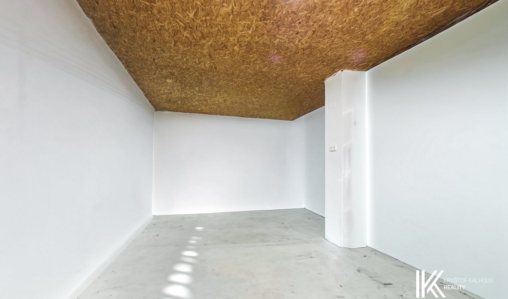 Prodej domu 205 m² s pozemkem 368 m², Třebnouševes – náhled fotky 25