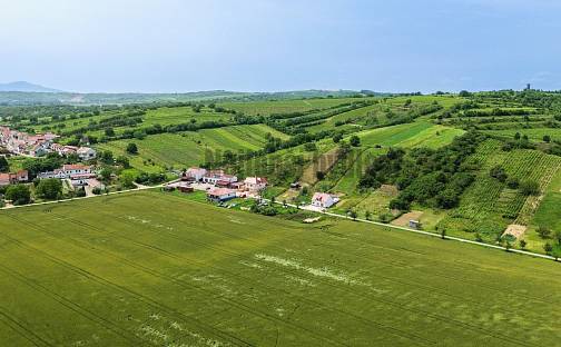 Prodej stavebního pozemku 3 395 m², Bořetice, okres Břeclav