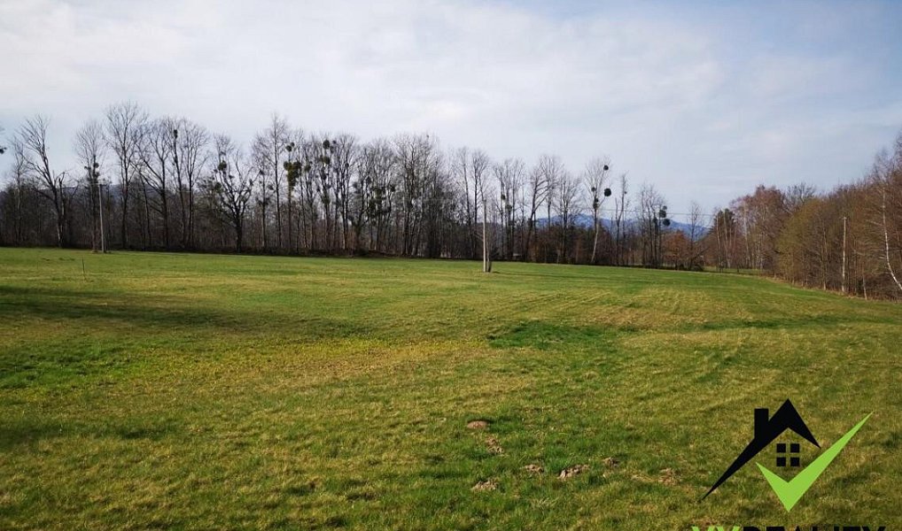 Prodej louky 11 349 m², Trojanovice – náhled fotky 3