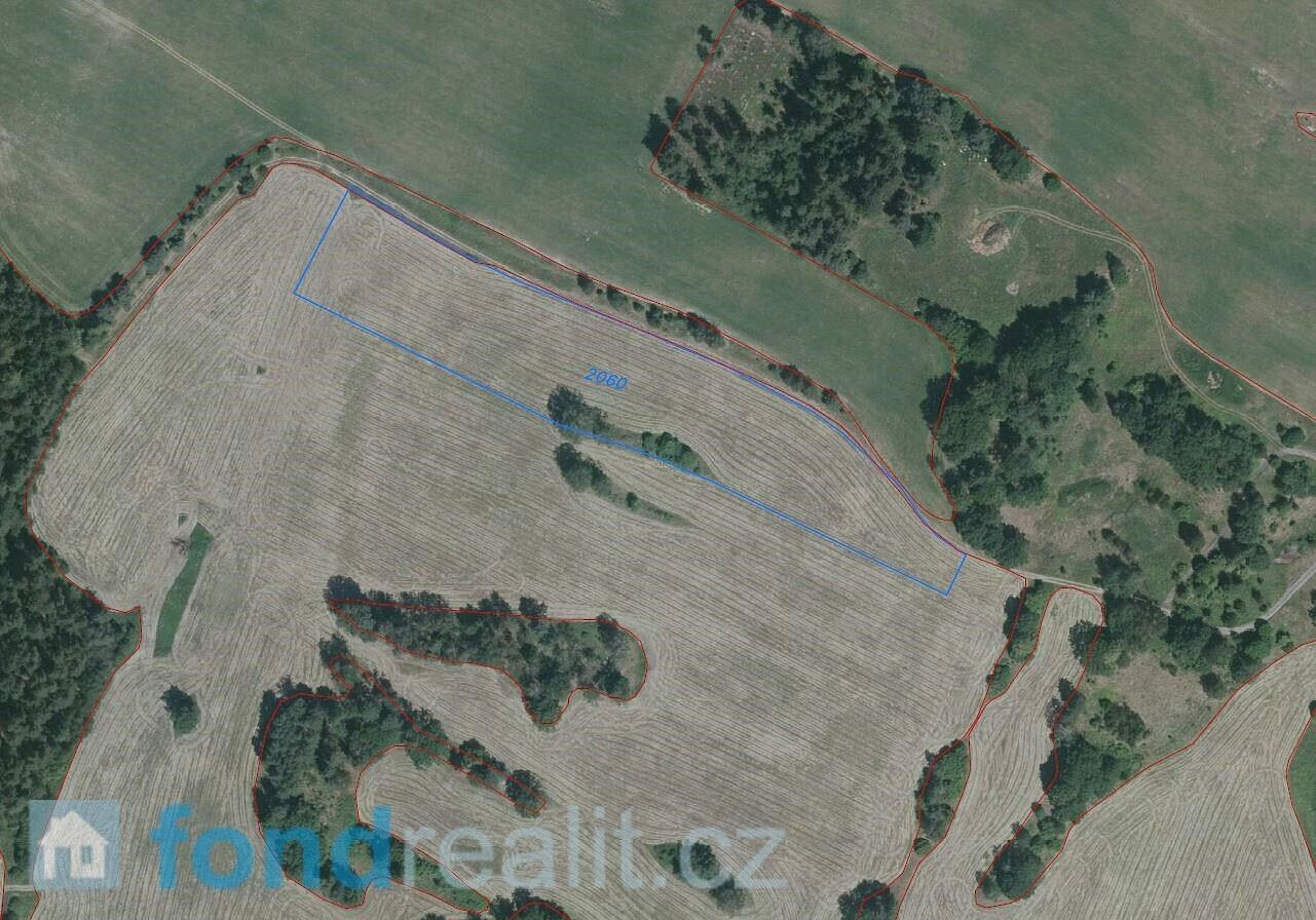 Fotka 2 z 11