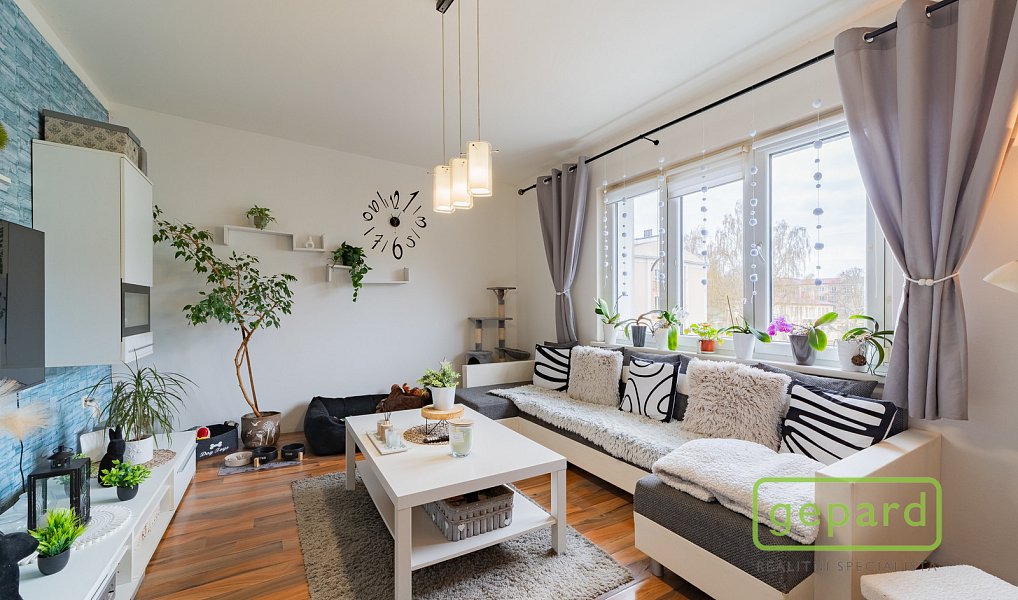 Prodej bytu 2+1 54 m², Ostrov – náhled fotky 9