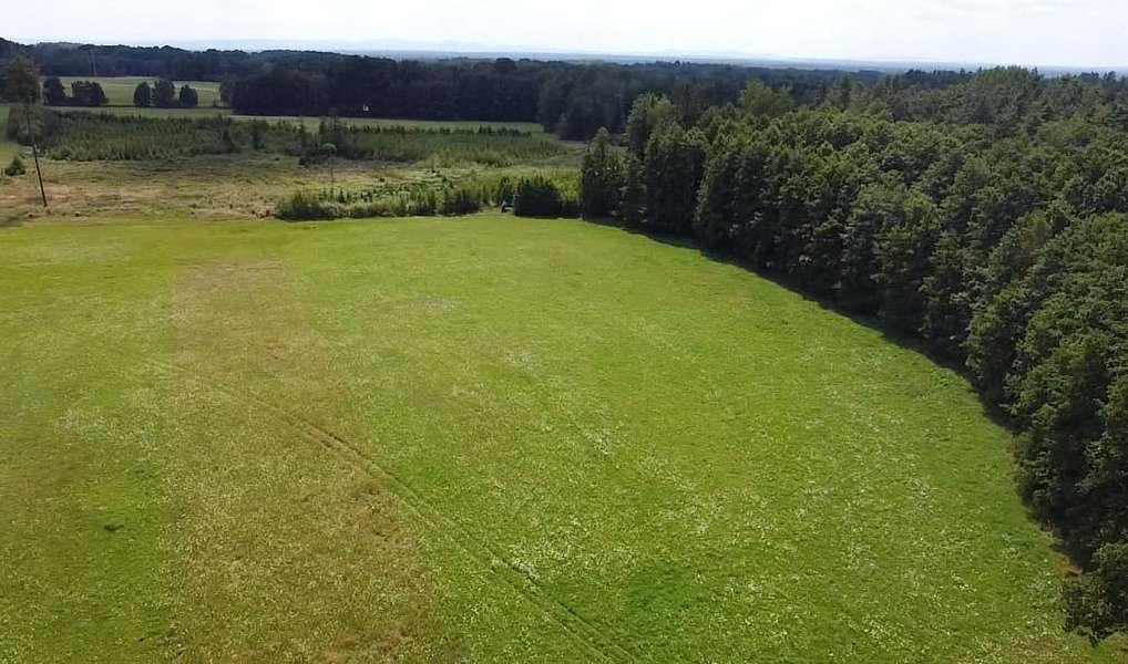Prodej pole 130 000 m², Chlum u Třeboně – náhled fotky 14